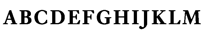 EquityACapsBold Font UPPERCASE