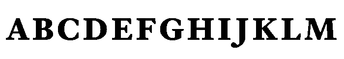 EquityACapsBold FONT