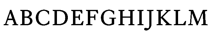 EquityACapsRegular Font UPPERCASE