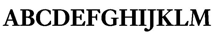 EquityBBold Font UPPERCASE