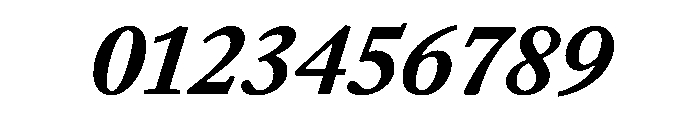 EquityBBoldItalic Font OTHER CHARS