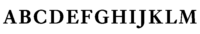EquityBCapsBold Font UPPERCASE