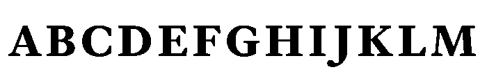 EquityBCapsBold FONT