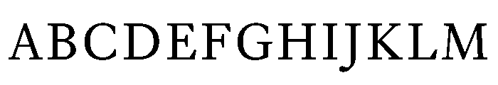 EquityBCapsRegular Font UPPERCASE
