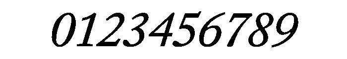 EquityBItalic Font OTHER CHARS