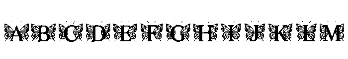 Erin Regular Font UPPERCASE
