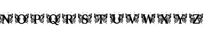 Erin Regular Font UPPERCASE