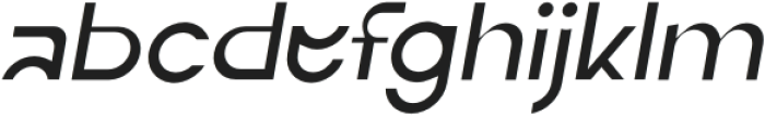 ERF Neot Light Italic otf (300) FONT