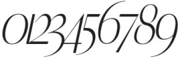 ERICKA Italic otf (400) Font OTHER CHARS