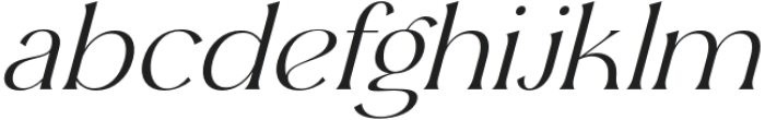 Ergisa Italic otf (400) Font LOWERCASE