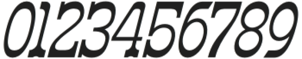 Erikoji Italic otf (400) Font OTHER CHARS