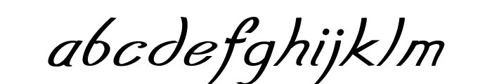 Erelon-BoldItalic Font LOWERCASE