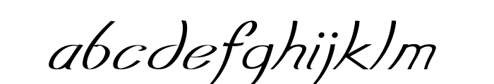 Erelon-Italic Font LOWERCASE