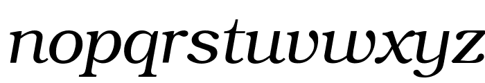 ER Bukinist 866 Italic Font LOWERCASE