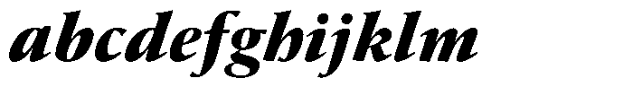 Erato Nova Black Italic FONT