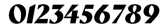 Ergon Bold Italic Font OTHER CHARS