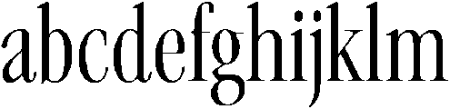 ES Serif Regular Tall otf (400) FONT