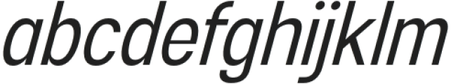 Esenka-Italic otf (400) Font LOWERCASE