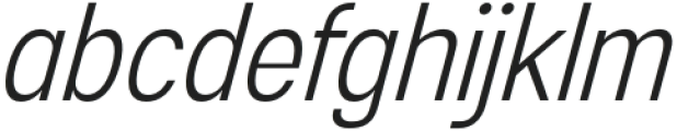 Esenka Light Italic otf (300) Font LOWERCASE