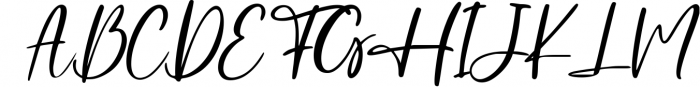 Established the Beauty Handwritten Script 1 Font UPPERCASE