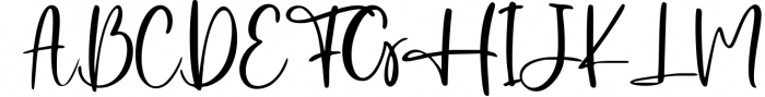 Established the Beauty Handwritten Script Font UPPERCASE
