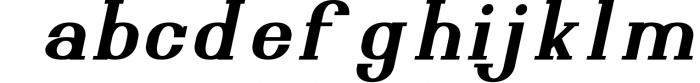 Esthetic Simplified Serif Font LOWERCASE