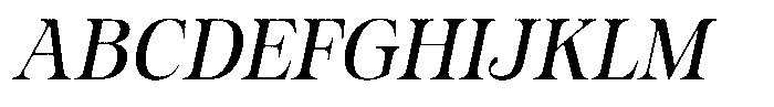 Estetika Maison Ruged Italic Font UPPERCASE