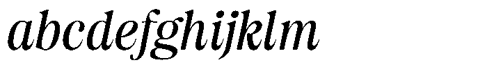 Estetika Maison Ruged Italic FONT