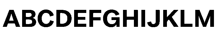 Essent Bold Font UPPERCASE