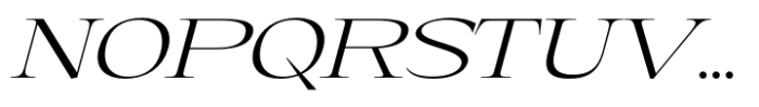 Eternal Collection Large Light Italic Font UPPERCASE