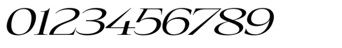 Eternal Collection Large Regular Italic Font OTHER CHARS