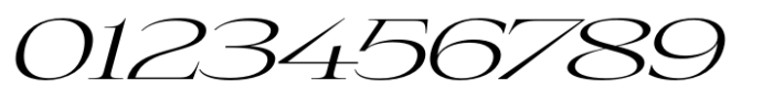 Eternal Collection Wide Light Italic Font OTHER CHARS