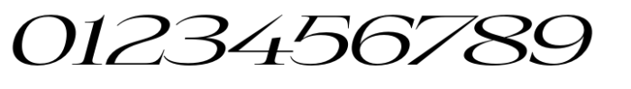 Eternal Collection Wide Regular Italic Font OTHER CHARS