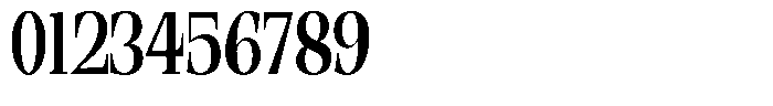 Ethically Serif Bold Condensed Font OTHER CHARS