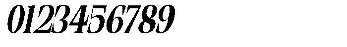 Ethically Serif Extra Bold Condensed Slanted Font OTHER CHARS