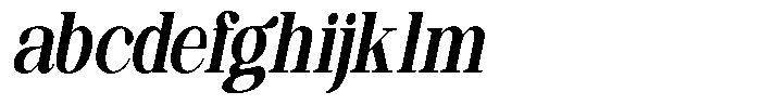 Ethically Serif Extra Bold Condensed Slanted FONT
