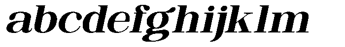 Ethically Serif Extra Bold Expanded Slanted FONT