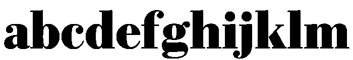 Eugenio Serif Black FONT
