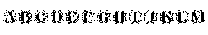 Everlaurel Monogram FONT