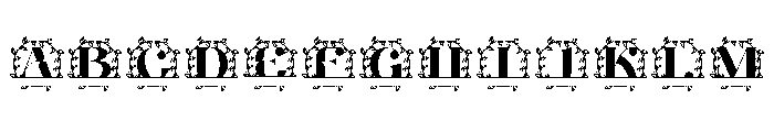 Everlaurel Split Monogram FONT