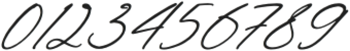 Everlast Roman Script Italic otf (400) Font OTHER CHARS