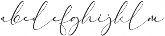 Everything Calligraphy otf (100) Font LOWERCASE