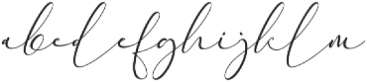 Everything Calligraphy ttf (100) Font LOWERCASE