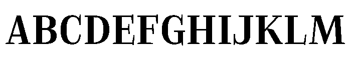 EVERY HEADLINE Bold Font UPPERCASE