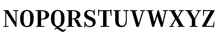EVERY HEADLINE Bold Font UPPERCASE