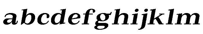 Extinguish Bold SemExp Slant FONT