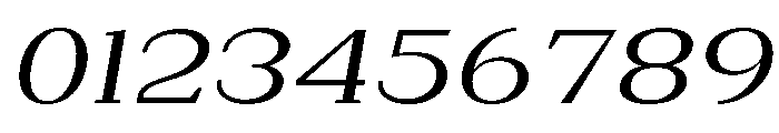 Extinguish Expanded Slanted Font OTHER CHARS