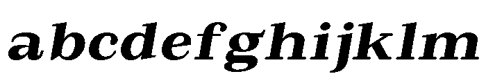 Extinguish ExtBd SemExp Slant FONT
