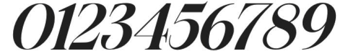 Exactly Heavy Italic otf (800) Font OTHER CHARS