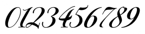 Excelsia Pro Regular Font OTHER CHARS